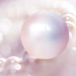 パールイメージ