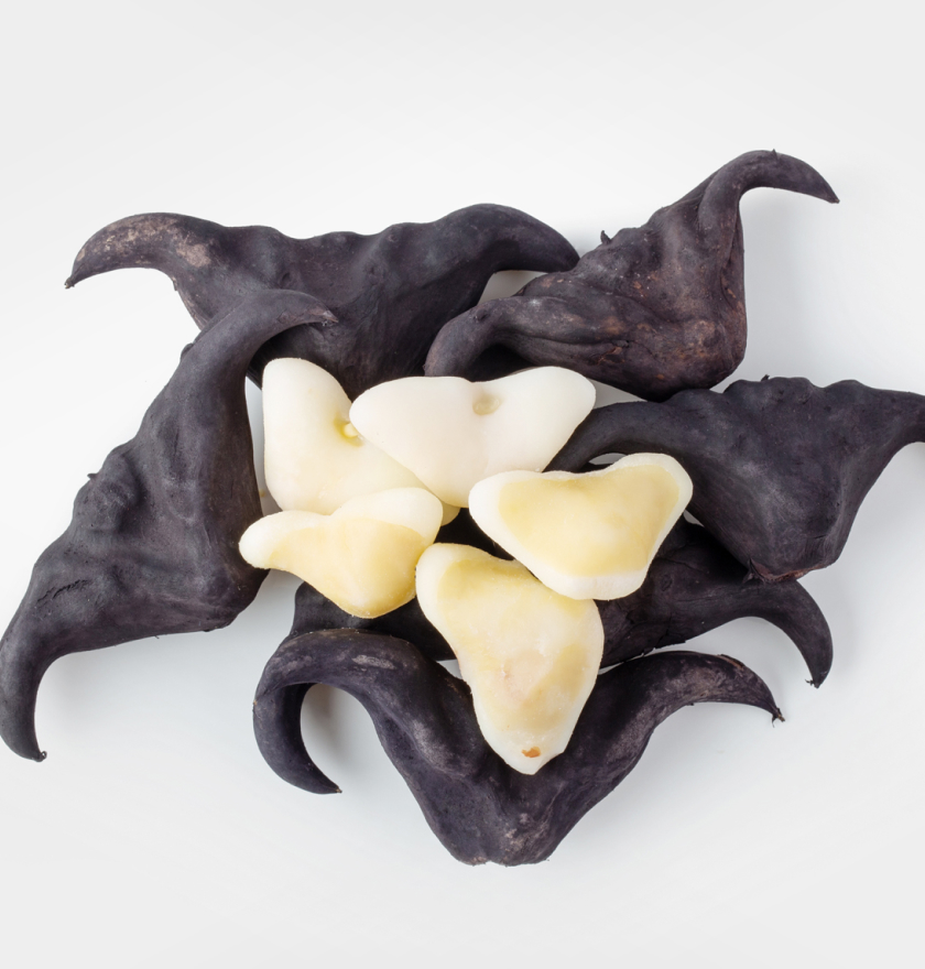 ひしの実エキス