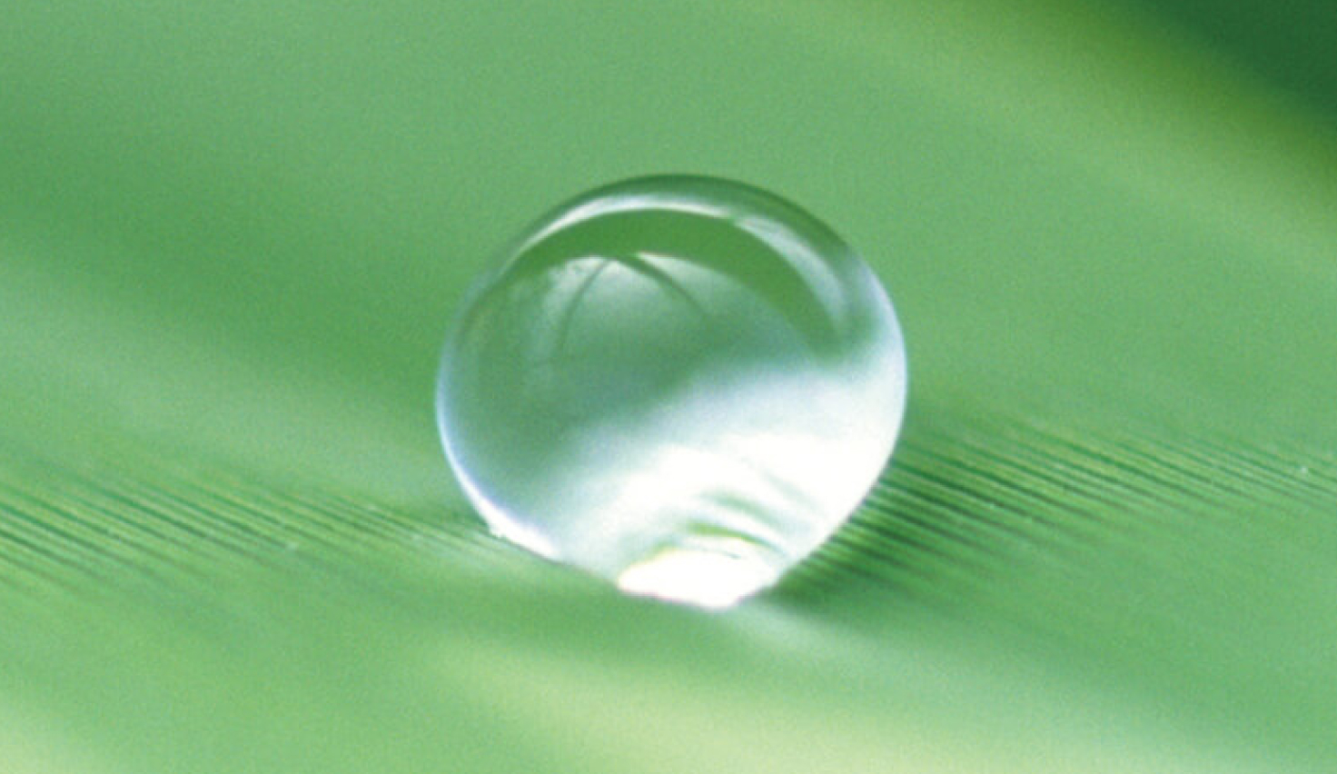 クリーンフォーミュラ